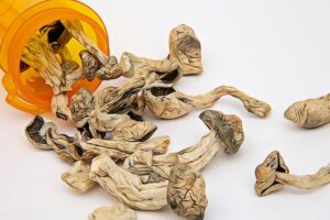 how long do shrooms stay in your system