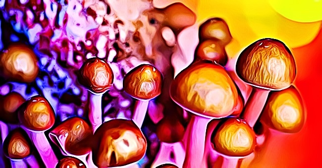 Psilocybin Pills What It Is and What You Should Know About It